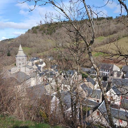 Gite Les Bois Orcival Bagian luar foto