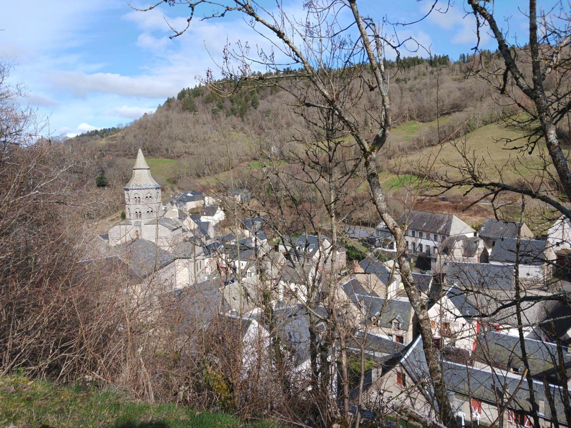 Gite Les Bois Orcival Bagian luar foto